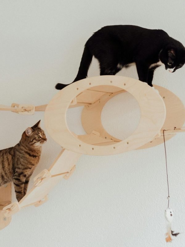 pet products
